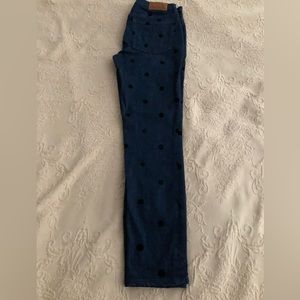 J Crew jeans, size 27, the 9” toothpick